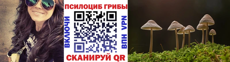 Псилоцибиновые грибы MAGIC MUSHROOMS  Морозовск 